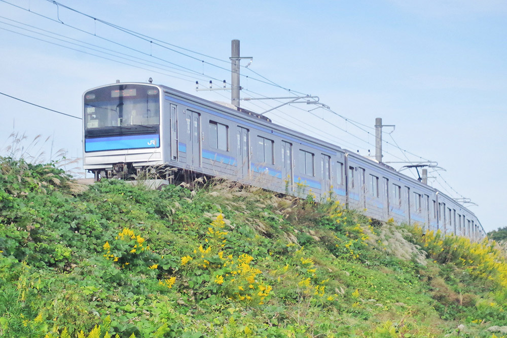 JR仙石線 | 全国鉄道路線図.com